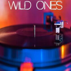 Wild Ones (Originally Performed by Jessie Murph and Jelly Roll) [Instrumental]