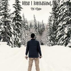 Vilse I Tomteland