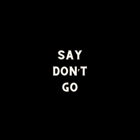 Say Don't Go
