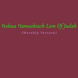 Yeshua Hamashiach Lion Of Judah