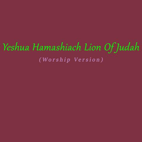 Yeshua Hamashiach Lion Of Judah