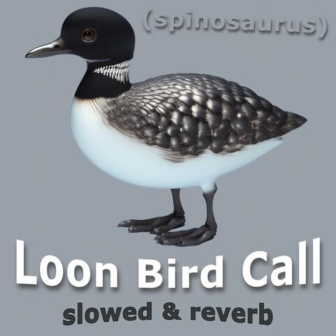 Loon Bird Call slowed & reverb (Spinosaurus)