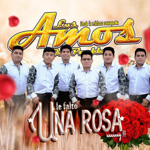 Le Falto Una Rosa
