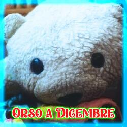 Orso a Dicembre