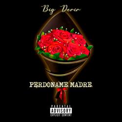 Perdoname Madre