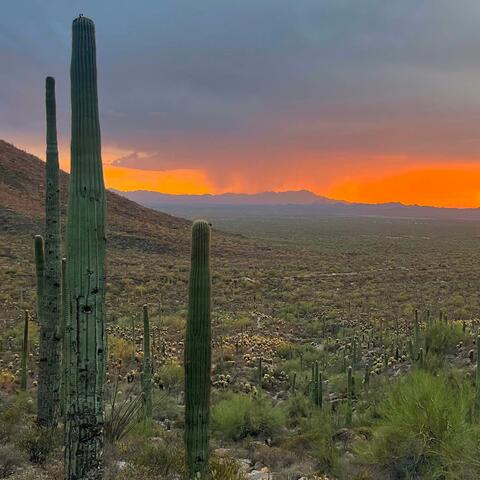 Desert Drone Live Set - September 2023