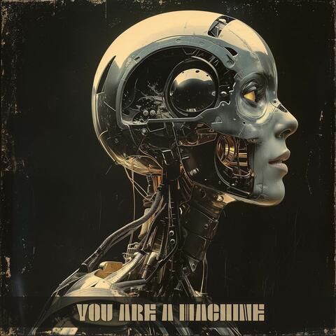 You are a Machine