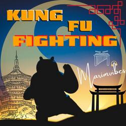 Kung Fu Fighting
