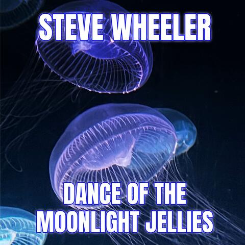 Dance of the Moonlight Jellies (From "Stardew Valley")