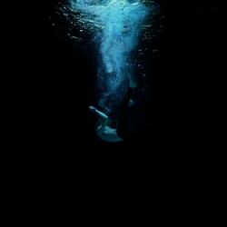 ECHOES