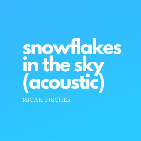 Snowflakes in the Sky (Acoustic)