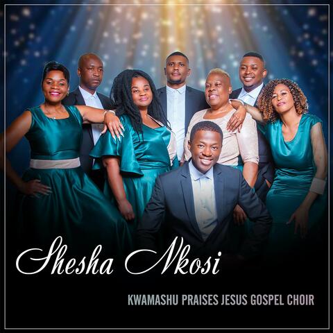Shesha Nkosi