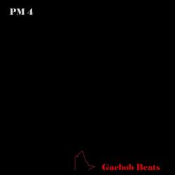 Pm 4