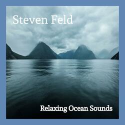 Relaxing Ocean Sounds Ambience