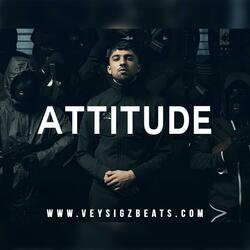 Attitude