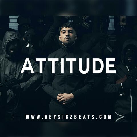 Attitude