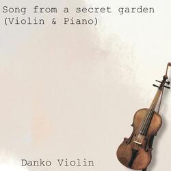 Song from a secret garden (Violin & Piano)