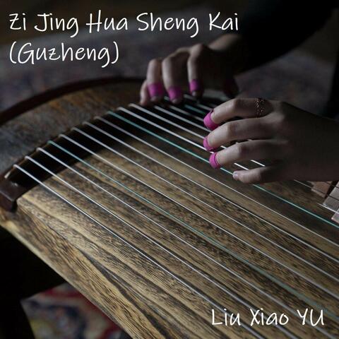 Zi Jing Hua Sheng Kai (Guzheng)