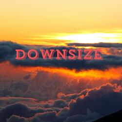 Downsize