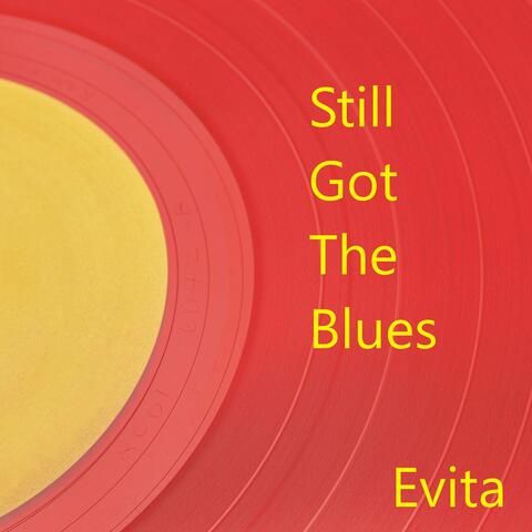 Still Got The Blues