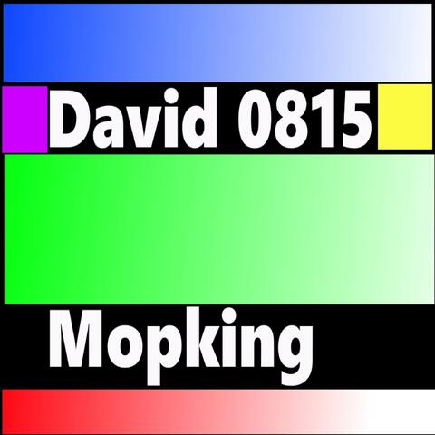 David 0815