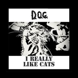 I Really Like Cats