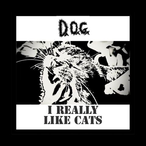 I Really Like Cats