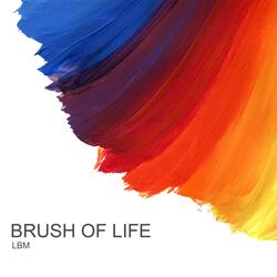 The color of the sunset