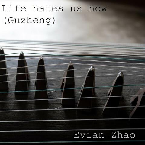Life hates us now (Guzheng)