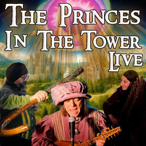 The Princes In The Tower Live