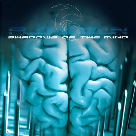 Shadows of the Mind
