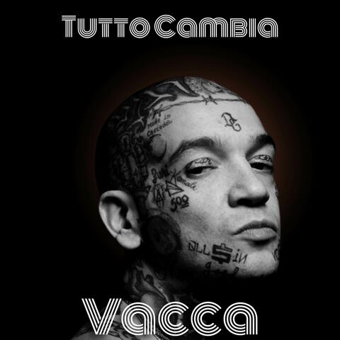 Vacca