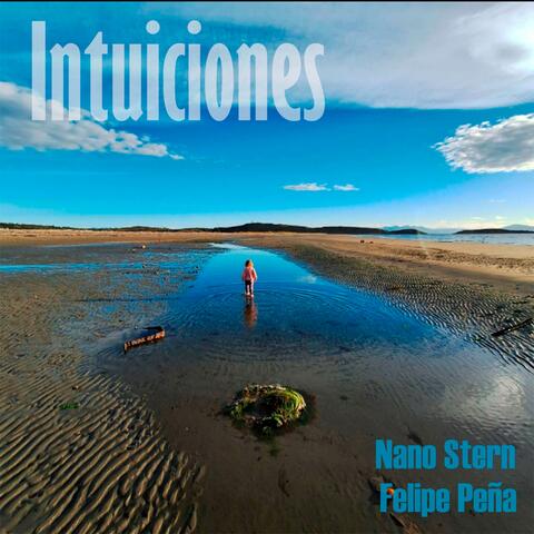 Intuiciones