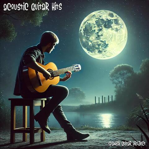 Acoustic Guitar Hits