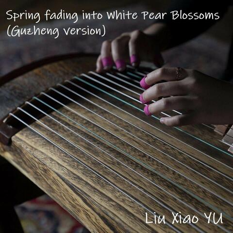 Spring fading into White Pear Blossoms (Guzheng version)