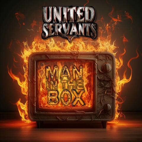 Man in the Box