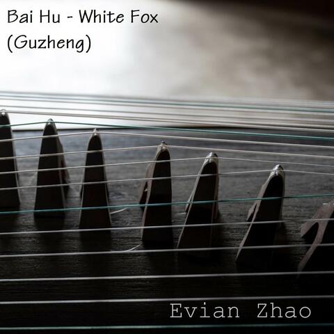 Bai Hu - White Fox (Guzheng)