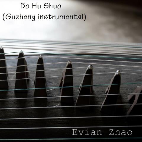 Bo Hu Shuo (Guzheng instrumental)