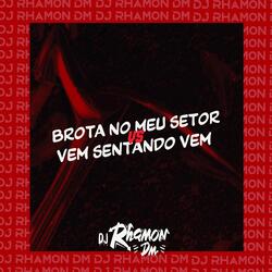 Brota no Meu Setor Vs Vem Sentando Vem