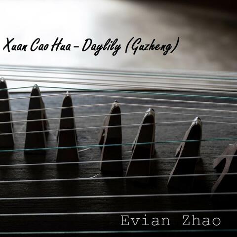 Xuan Cao Hua - Daylily (Guzheng)