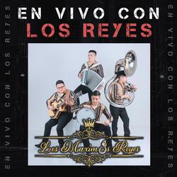 NO PUEDO OLVIDAR TU VOZ
