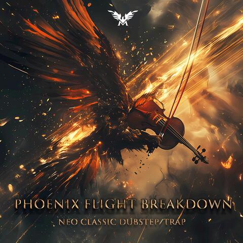 Phoenix Flight Breakdown