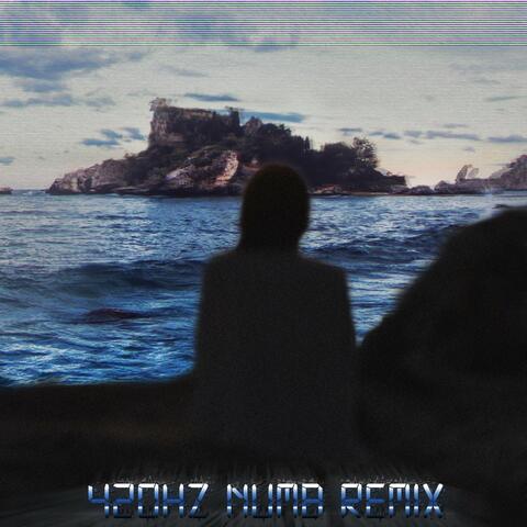 Numb Remix