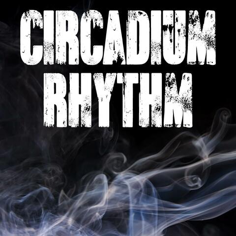 Circadian Rhythm (Originally Performed by Drake (Instrumental)