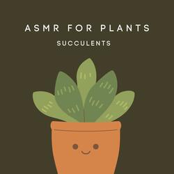 Stimulate Succulent Growth