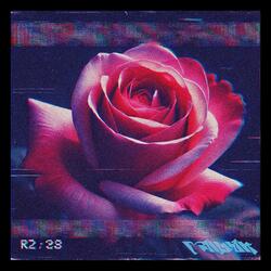 Not all roses and flowers