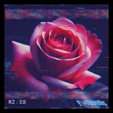 Not all roses and flowers