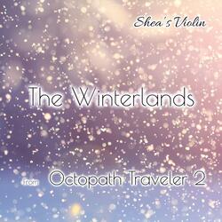 The Winterlands (From: "Octopath Traveler 2")