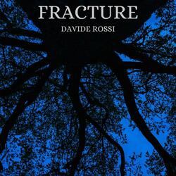 Fracture