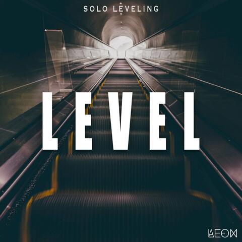 Level (From "Solo Leveling")